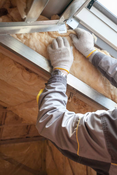 Best Insulation Removal  in Rhome, TX