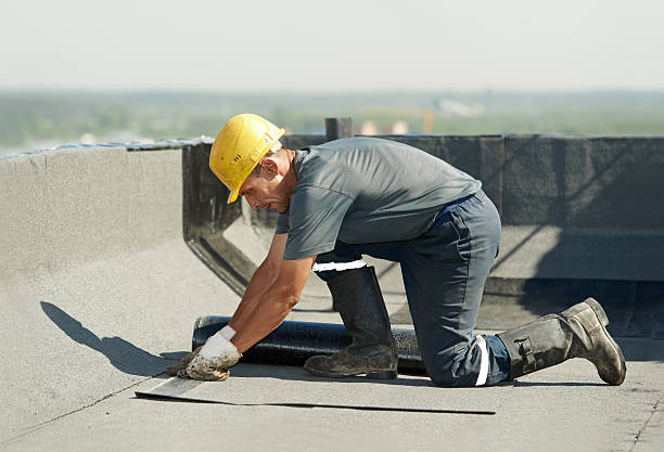 Best Cellulose Insulation  in Rhome, TX