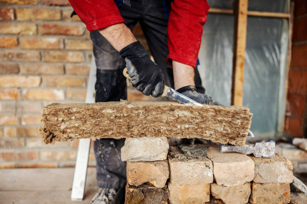 Best Insulation Replacement Services  in Rhome, TX