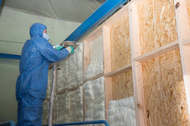 Best Home Insulation Services  in Rhome, TX